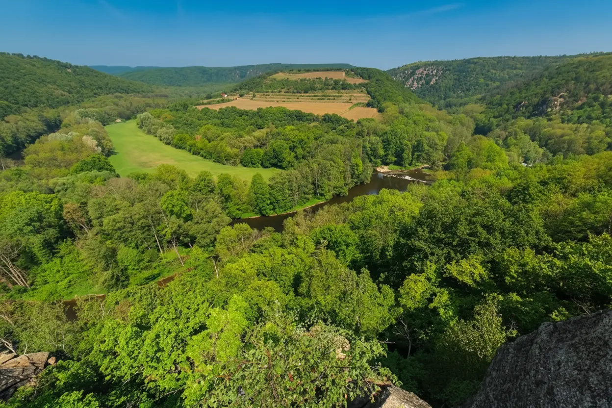 Restaurace Devět mlýnů